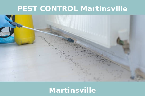 PEST CONTROL Martinsville